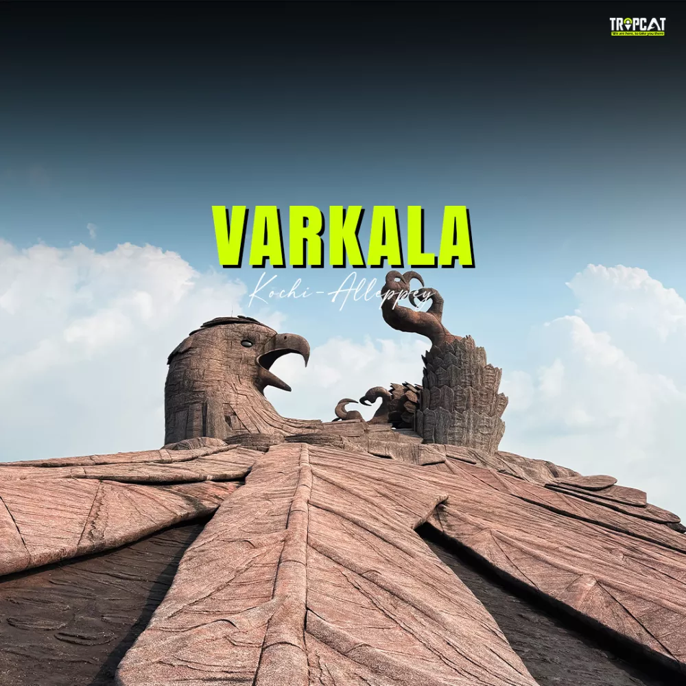 Varkala, Kochi-Alleppey with Backwater Boating  & Cruise - (3 days trip) 