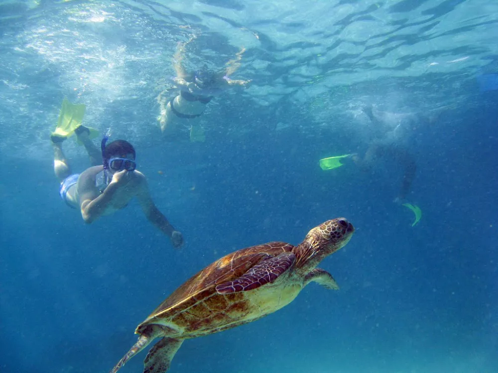 Ningaloo Adventure - 3Nights /4 Days 